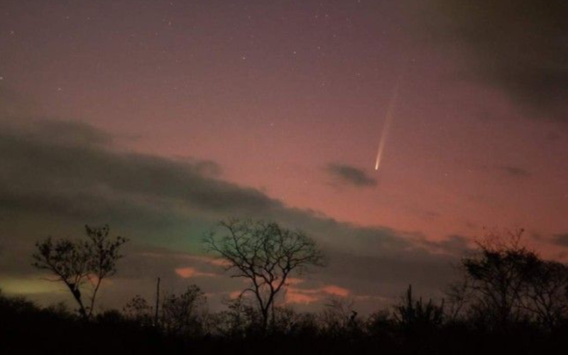 O Cometa do Século dará um show no céu em datas distintas até o dia 28. Mas no fim de semana, será um espetáculo à parte visto a olho nu. Foto: Clube de Astronomia de Fortaleza