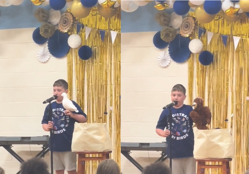 Menino autista encanta ao imitar cantos de pássaros na escola e vídeo ganha repercussão internacional