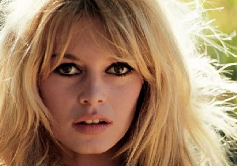 Brigitte Bardot largou o cinema para se dedicar a causa animal. Agora, aos 90 anos, pediu um presente de aniversário muito nobre. - Foto: Ghislain Dussart