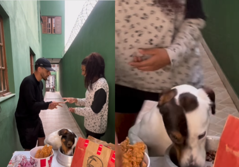 O cachorrinho Cadu é viciado em ração e ele ignora até mesmo frango do KFC, mas não resiste ao Big Mac. - Foto: @casalcesarin/Instagram.