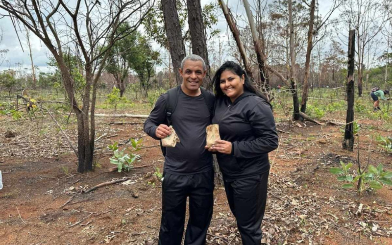 Voluntários plantam sementes para tentar restaurar a Floresta Nacional do DF. Foto: Correio Braziliense 