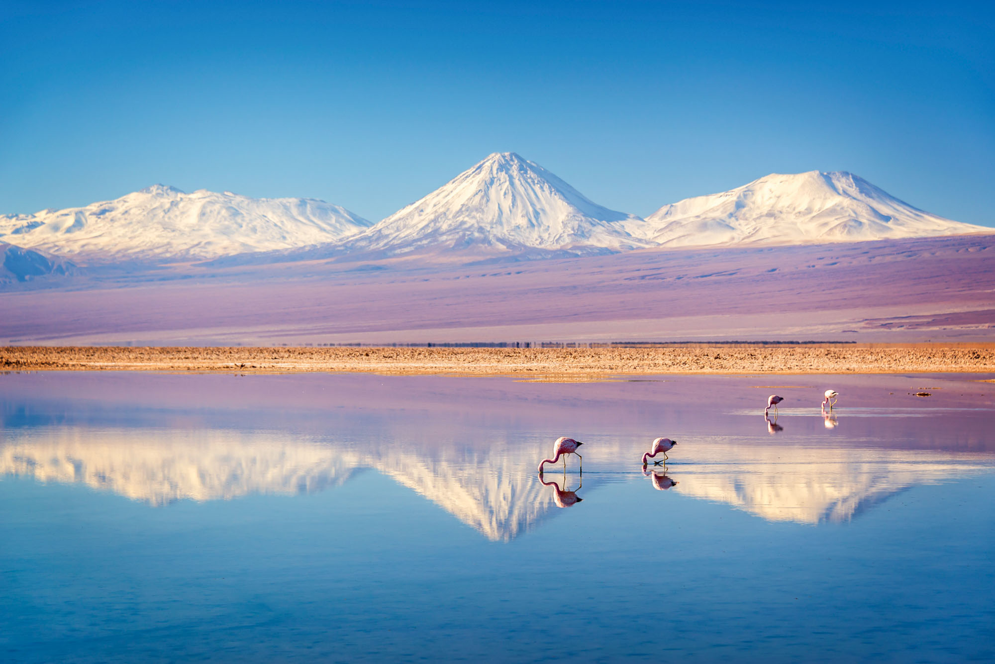 San Pedro de Atacama, no Chile, já é um velho destino conhecido dos turistas. - Foto: Booking