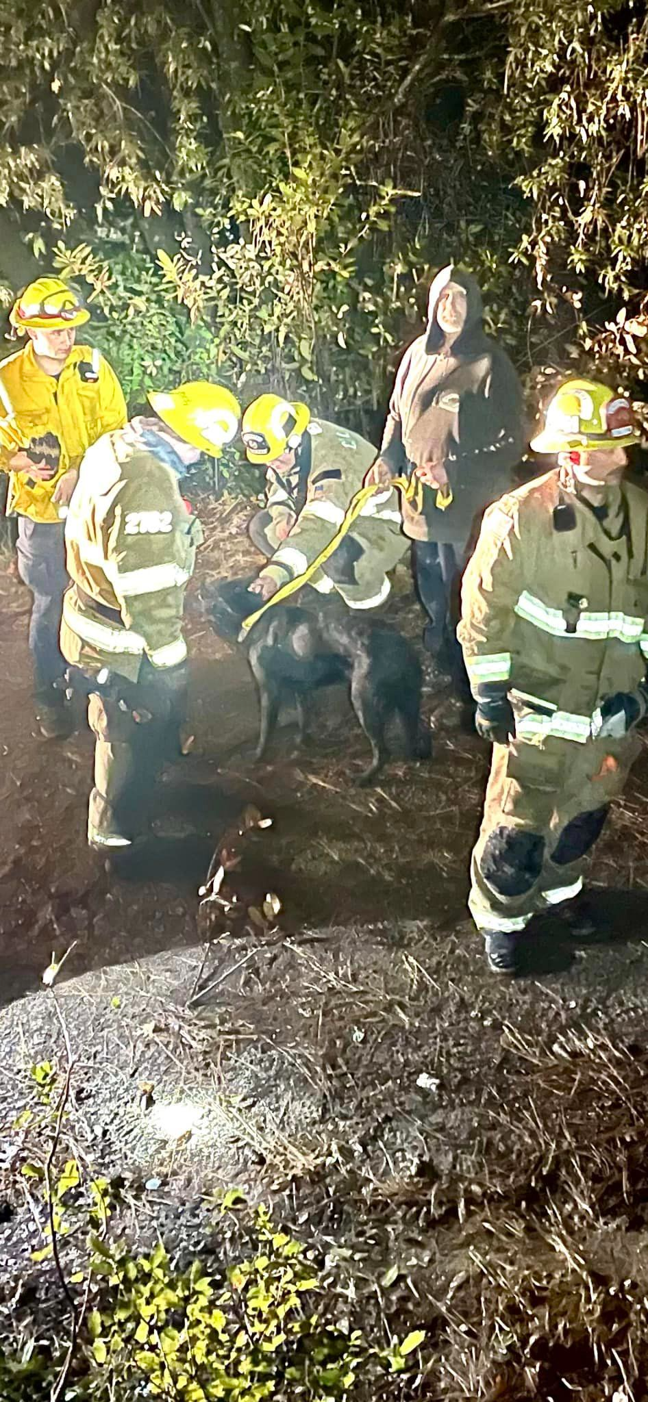 Segundo os bombeiros, o doguinho ficou aliviado quando foi colocado na superfície. - Foto: Garden Valley Protection District