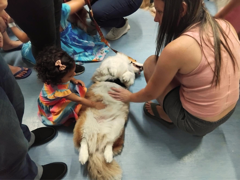 Os cachorrinhos adoraram receber carinho na barriga. - Foto: Comunicação Social/Ebserh
