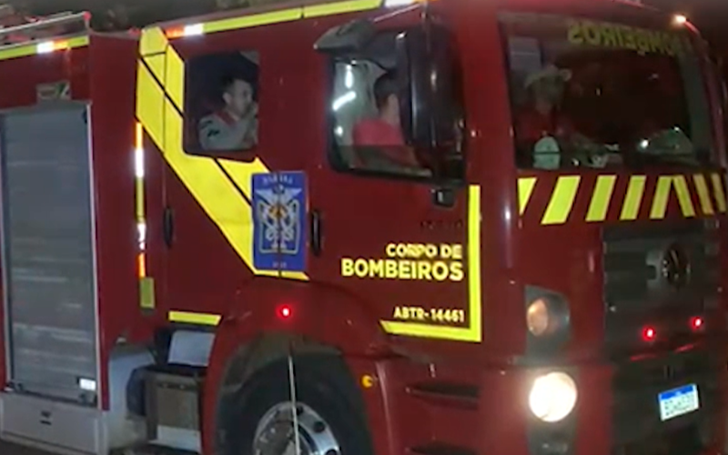 Bombeiros, de Cascavel, no Paraná, resgatam Mario, um gatinho que ficou preso em um cano. Foto: Catve