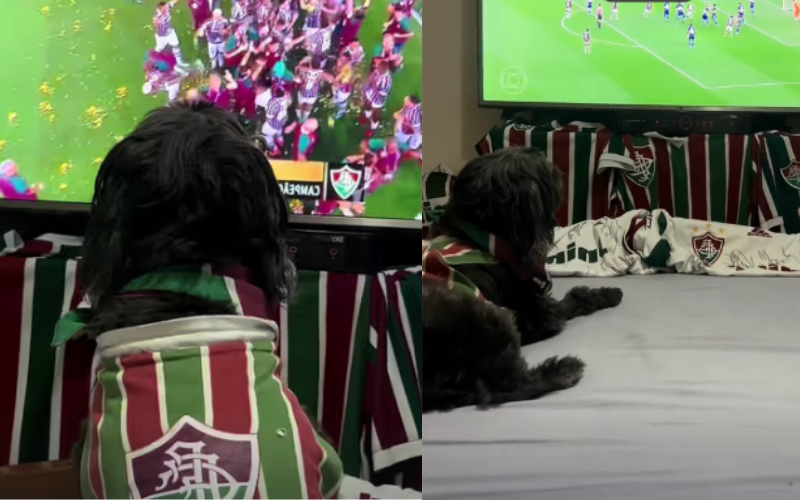 Pretinha Dog é uma cachorrinha que torce de forma apaixonada pelo Flu. Na disputa contra o Palmeiras, ela não parou de rodopiar. - Foto: tiktok/pretinhadogtricolor