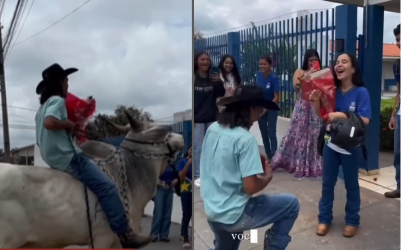 Henrique e Vitória se amam muito, um dia o rapaz foi montado no boi até a escola da namorada para pedir a mão dela em casamento. Inacreditável! - Foto: @vihh_duffeck