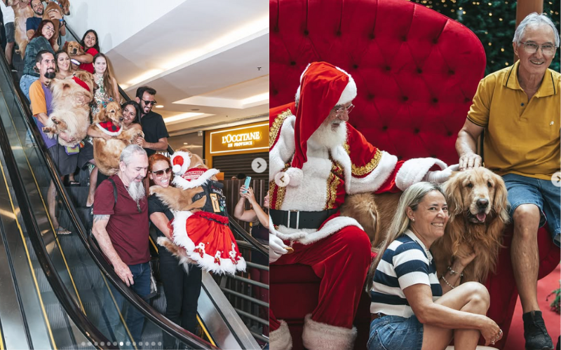 Um ​shopping em Goiânia reuniu 250 goldens para uma⁤ celebração natalina com o Papai Noel. - Foto: @shoppinggoiania