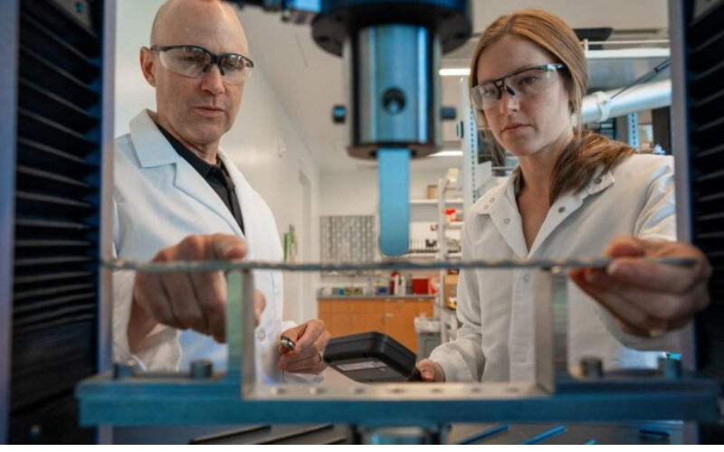 Cientistas do Oregon, nos EUA, observaram a rápida recuperação dos ratos em apenas algumas semanas, o que normalmente levaria meses. Pesquisadores Bob Guldberg e Kylie Williams em seu laboratório. Foto: Universidade de Oregon 