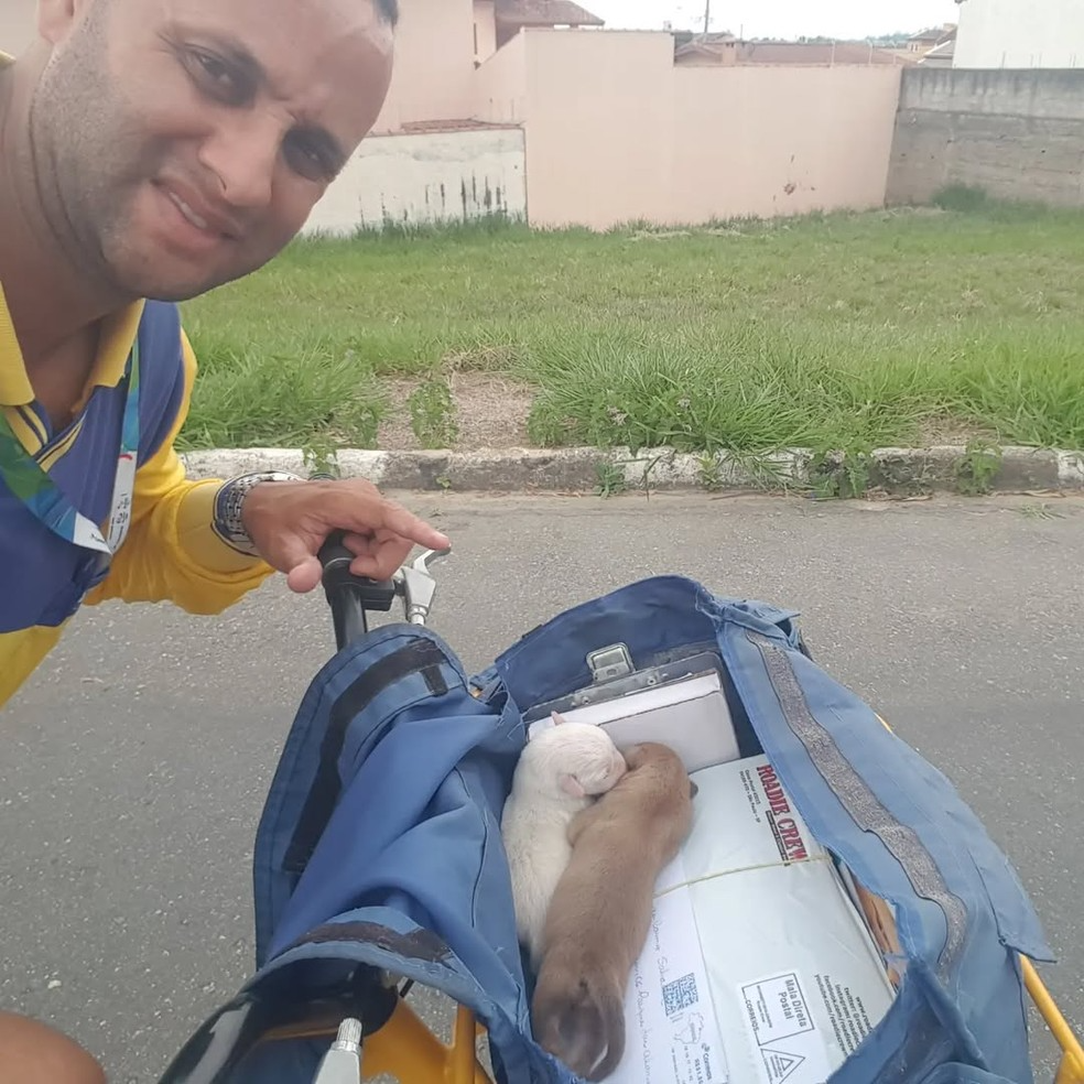 Angelo, com a influência que ganhou, passou a resgatar os bichinhos. - Foto: Arquivo pessoal
