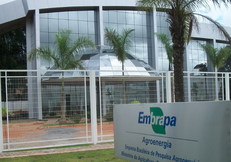 O concurso da Embrapa vai oferecer mais de 1 mil vagas em todo o país. - Foto: Embrapa