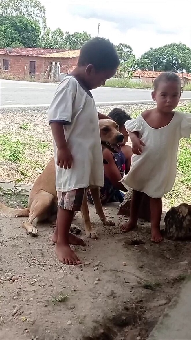 Por onde passa, a caramelo recebeu carinho e 'aubraços'. - Foto: @espe.gs/Instagram