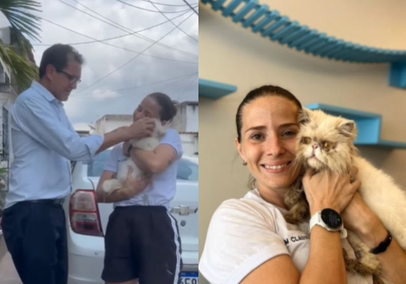 O gato persa Apolo Vinicius sumiu por 42 dias até ser encontrado em uma vala a 4 km de casa. Final feliz! - Foto: Reprodução/O Liberal