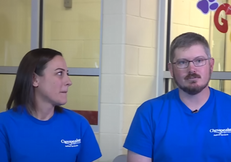 Andrew e Jennifer Duhe dedicam boa parte do tempo fazendo voluntário no abrigo de animais. - Foto: Wavy 10