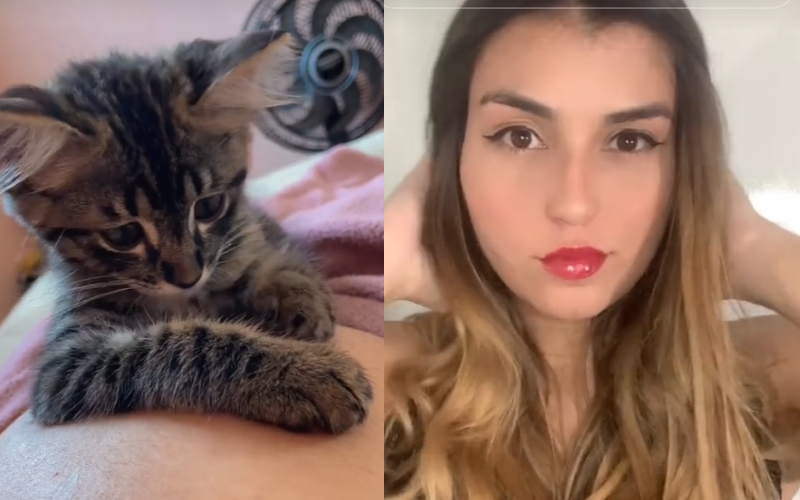 Gatinha descobre que ganhará irmãzinha humana e tem reação linda; vídeo