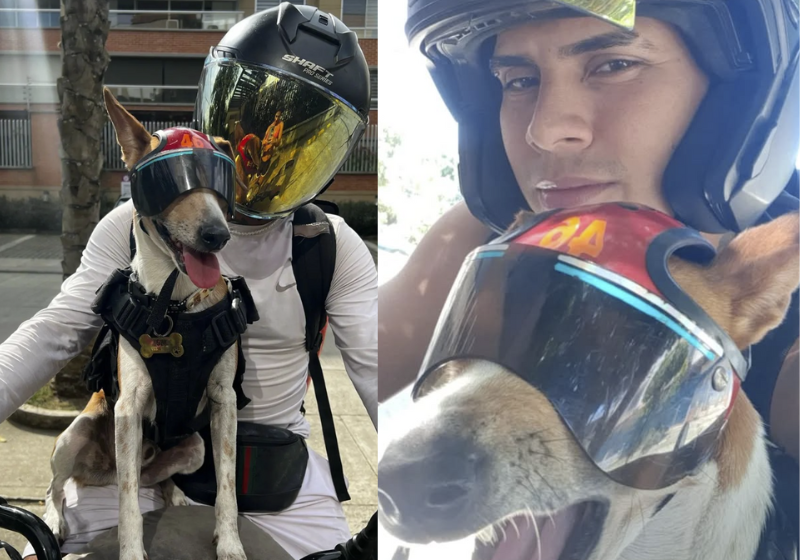 Motoboy conquista coração de clientes fazendo entregas com cãozinho uniformizado