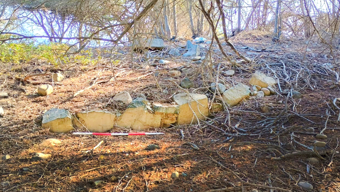 A estrutura estava escondida por galhos, arbustos e folhas secas. - Foto: Ministério da Cultura do Peru