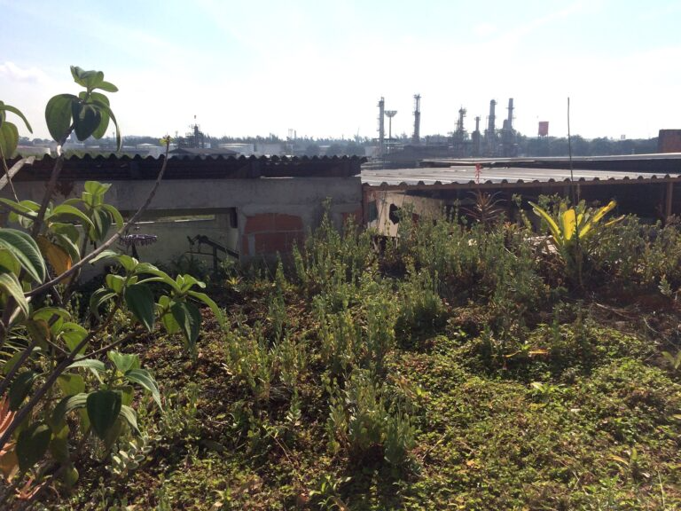 Os telhados das casas foram cobertos por plantas. - Foto: Rio On Watch
