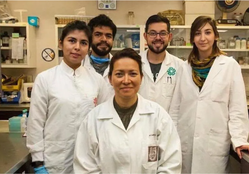 Cientista consegue eliminar o HPV completamente em 29 pacientes