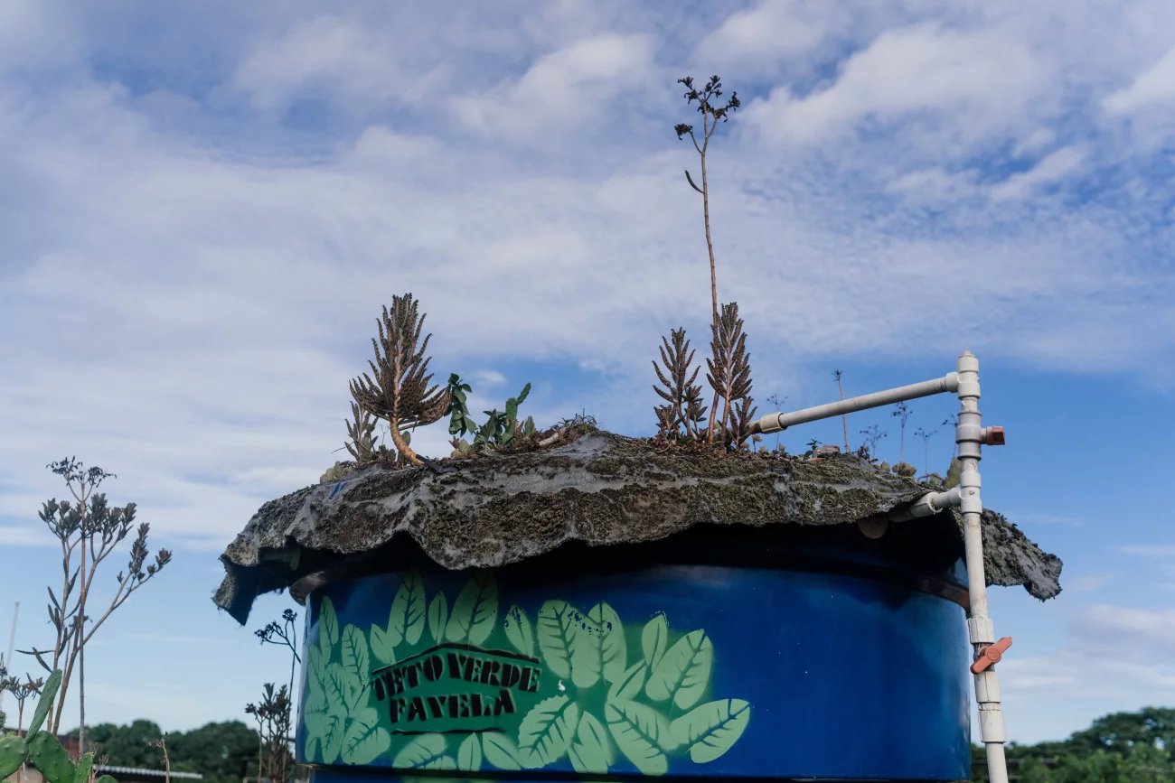 As plantações foram se expandido para vários locais na comunidade. - Foto: Ian Cheibub/NPR