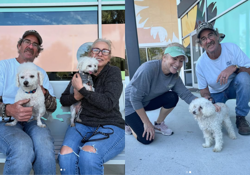 Esse casal, da Flórida, nos EUA, queria adotar um cachorro, mas acabou levando três para não separar os amigos idosos. - Foto: @ Jacksonville Humane Society