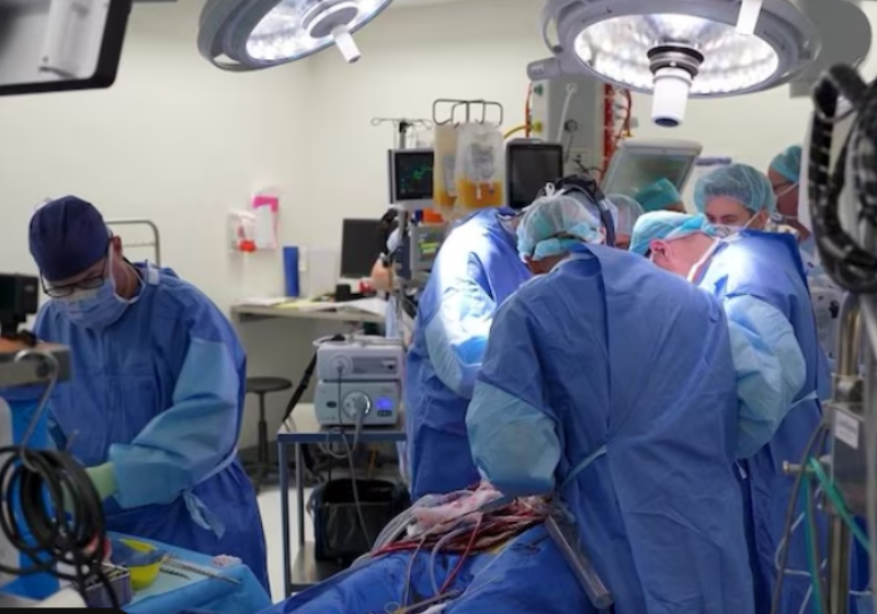 Depois de 100 dias, um paciente teve alta após receber um coração de titânio, um dispositivo revolucionário. O homem de 40 anos é considerado um ícone por provar ao mundo que um órgão artificial poderá, no futuro, substituir um humano. Foto: ABC Net