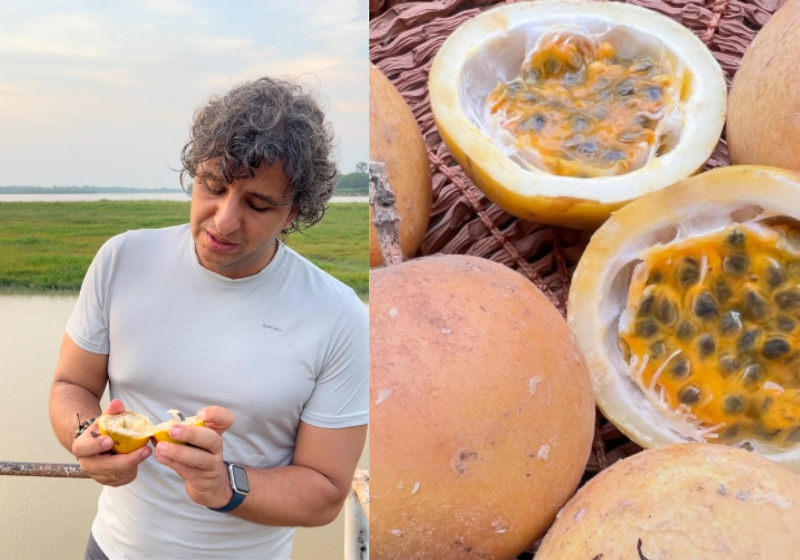 O engenheiro Gian Paolo lidera grupos de voluntários em defesa das espécies e no combate à extinção das frutas colombianas. À direita, a cocorilla. Foto: huelladejaguartravel