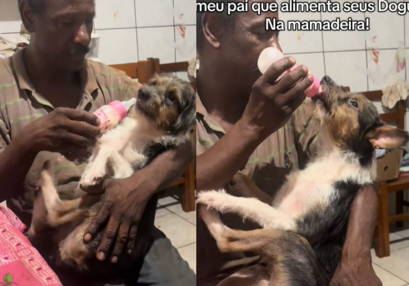 Homem cuida e dá mamadeira para cachorro adulto resgatado; “ele conversa com a gente”; vídeo