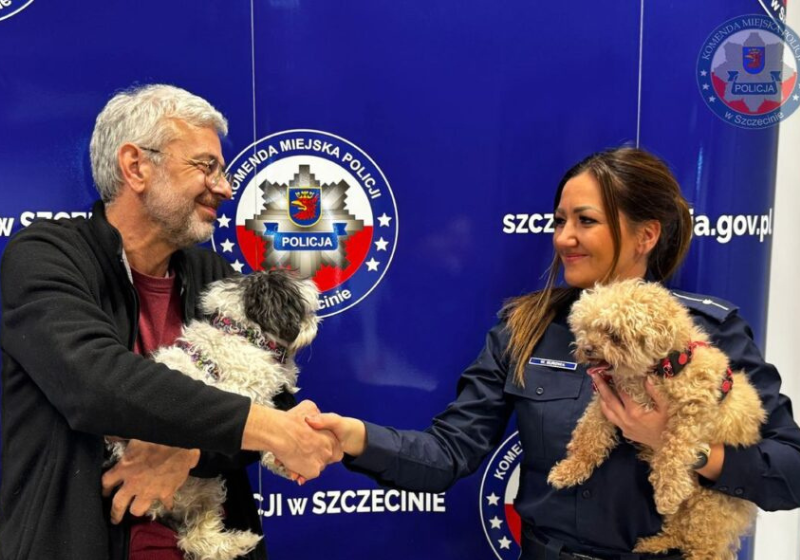 Cães sequestrados e levados para outro país voltam para o tutor após operação policial internacional