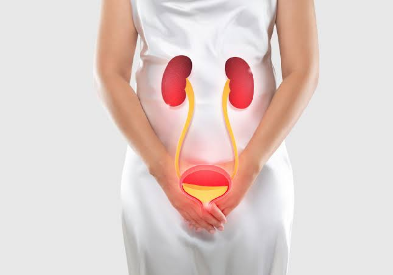 A FDA, dos EUA, aprovou o primeiro antibiótico oral para infecções urinárias recorrentes em 30 anos. O tratamento promete ser mais eficaz. Veja Foto: Pixabay