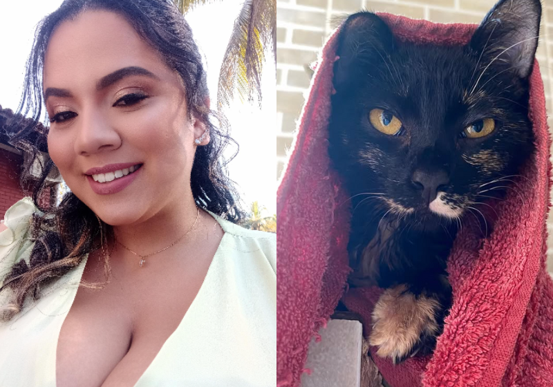 Elanne é a tutora da Faísca, a gatinha fujona, mas muito amada e agora de volta para casa. Foto: @elanneaguiar 