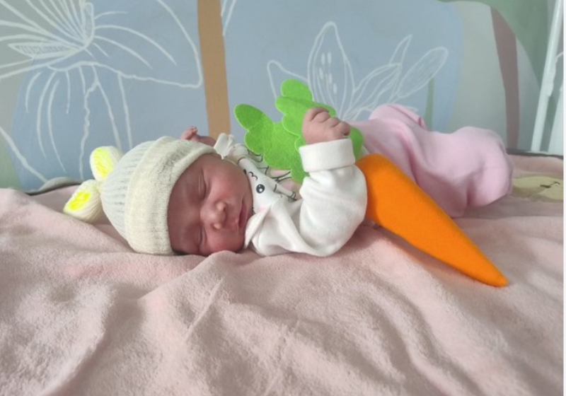 Para esse recém-nascido, a cenourinha que fazia parte do cenário virou boneco para o soninho. Foto: Prefeitura Americana 
