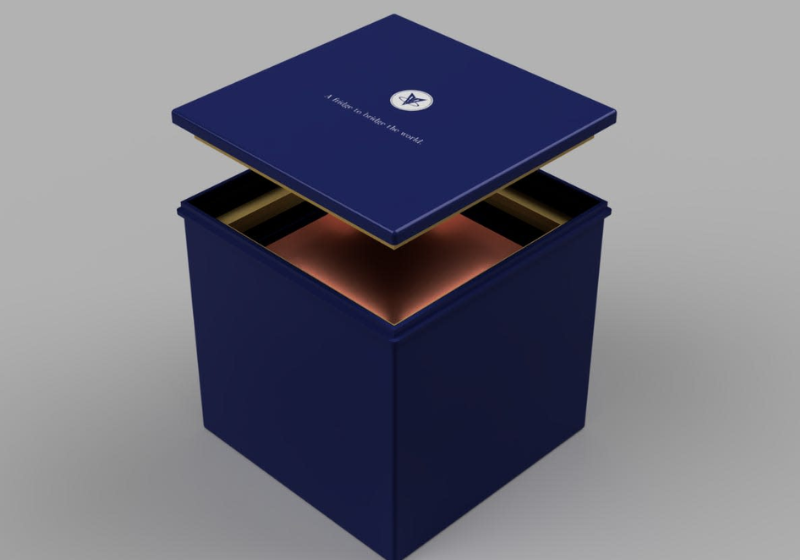 Os estudantes adolescentes inventam a geladeira, movida a sal, para transportar a vacina contra Covid-19 e medicamentos de uma forma geral. Foto: AOL