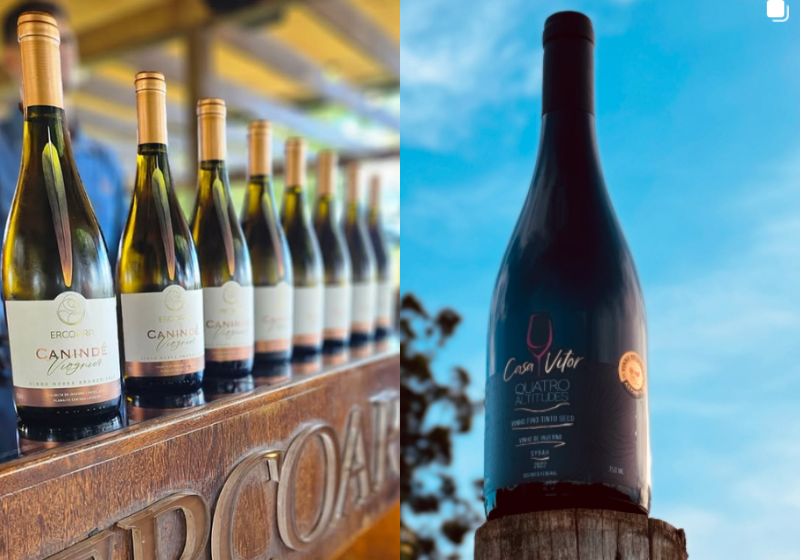 Os vinhos, produzidos em Brasília, e premiados na competição nacional são o branco Viognier Canindé, safra 2024 (E), e Syrah Quatro Altitudes, safra 2022 (D). Foto: @Ercoara/Casa Vítor 