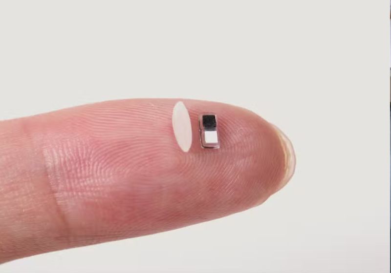 Ele é tão pequeno que cabe na ponta do dedo. - Foto: Universidade Northwestern