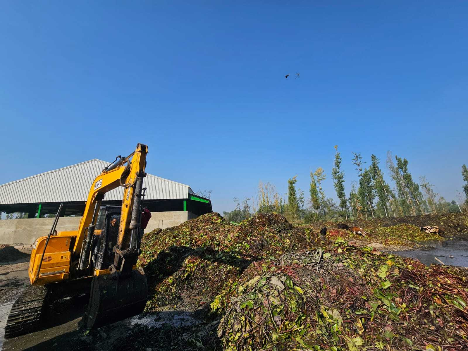 A ideia de limpar o lago veio depois de uma viagem romântica com a esposa. - Foto: Maninder Singh