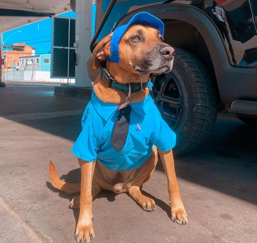 Matuê faz sucesso na internet e já tem mais de 700 mil seguidores. - Foto: Giovanni Fernandes