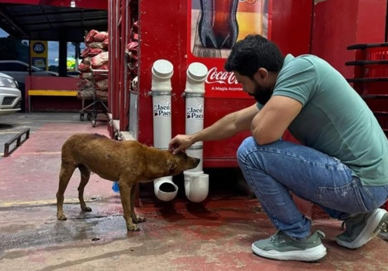 Médico faz comedouros e bebedouros para pets abandonados e instala nas ruas de Macapá O médico do Amapá faz comedouros e bebedouros para pets. Ele usa canos de PVC! - Foto: Divulgação