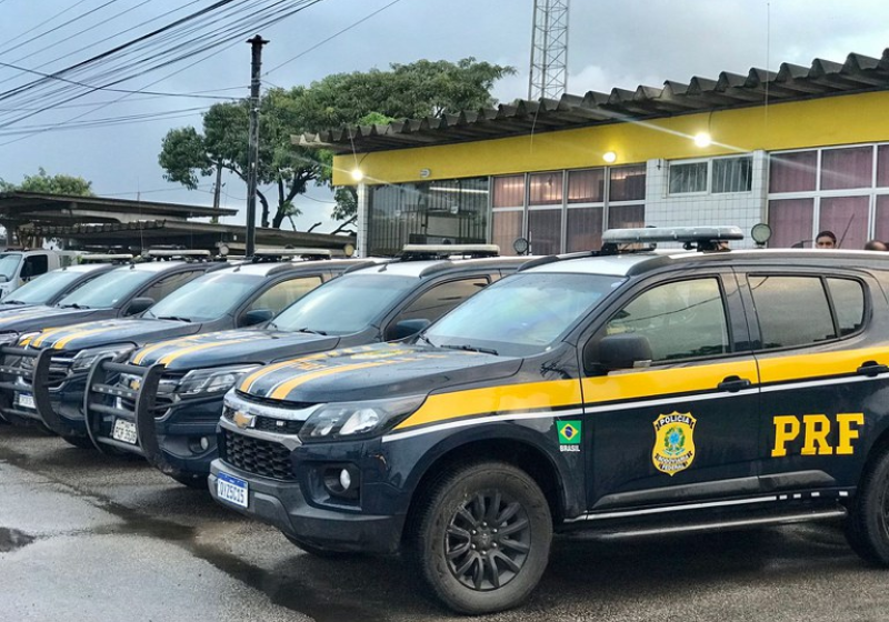 O cãozinho chegou com dificuldades para caminhar e muito machucado nessa delegacia da Polícia Rodoviária Federal do Recife, PE. Foto: PRF