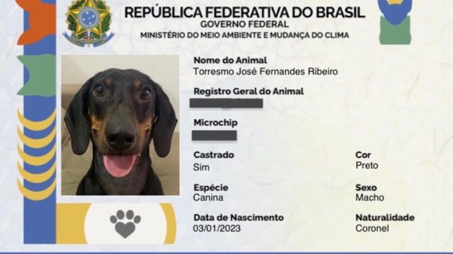 O resultado ficou uma fofura, concorda? - Foto: @torresmo.jose/Instagram