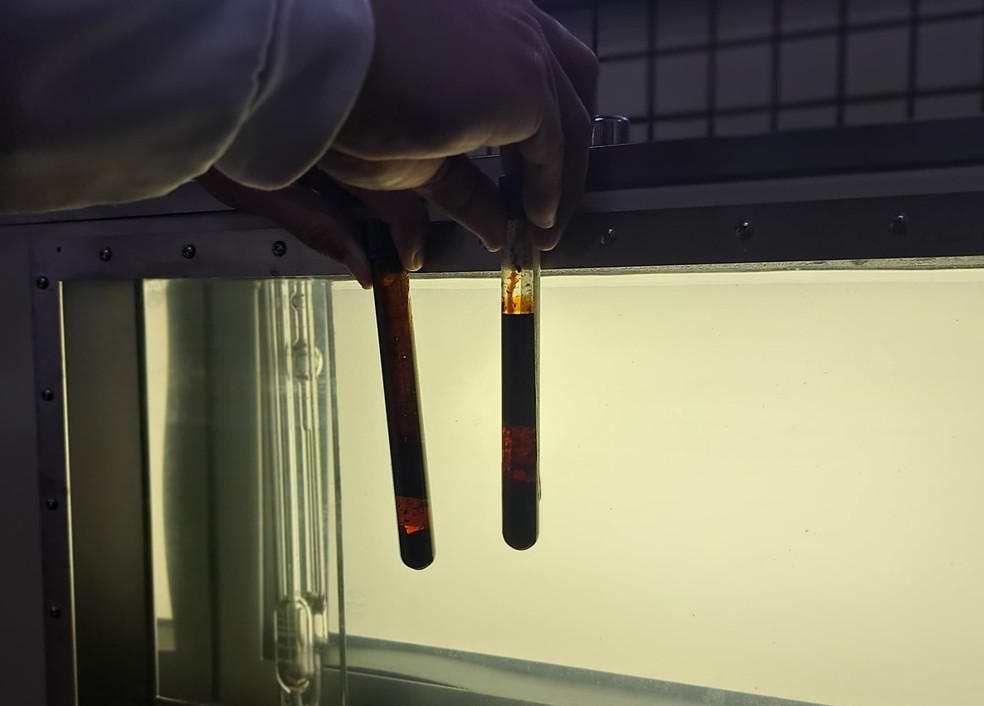 A pesquisa envolve dois laboratórios. - Foto: Isadora Pereira/G1