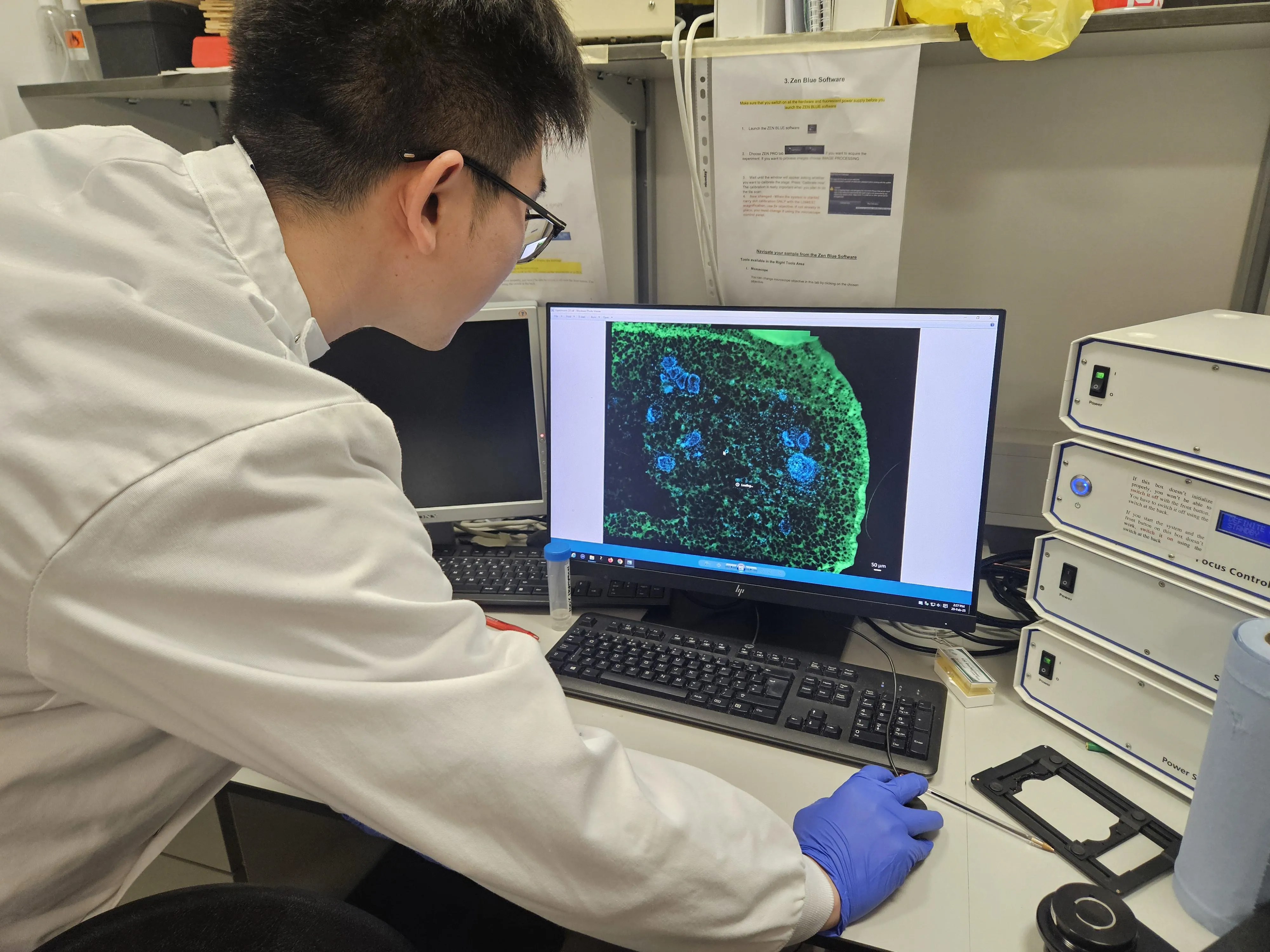As células, parte do processo, foram cultivadas em um ambiente especial. - Foto: King's College London