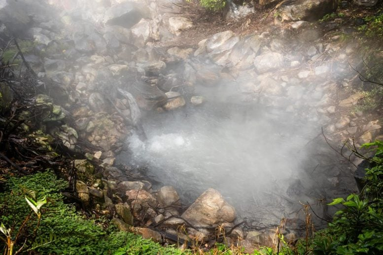 O dióxo de carbono deixa a vegetação mais verde e passa a ser um sinal. - Foto: Alessandra Baltodano/Universidade Chapman