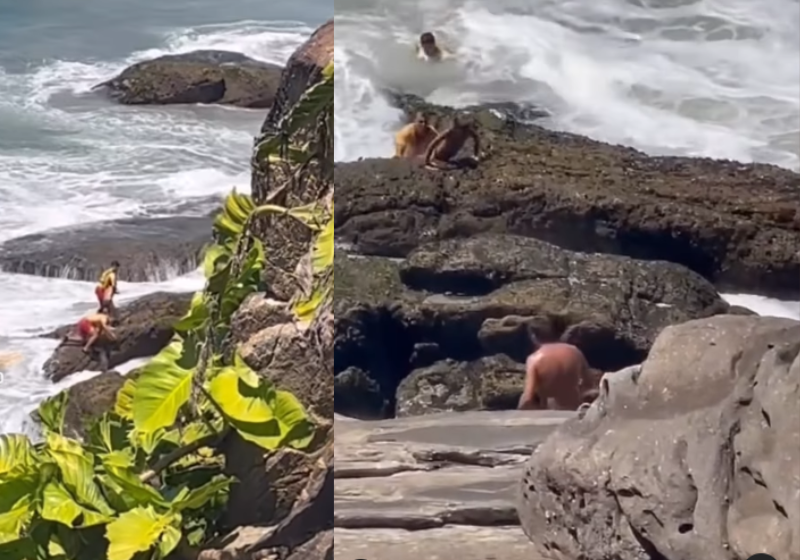 Salva-vidas resgatam menino levado pela correnteza do mar em SP; vídeo impressionante O resgate dramático com final feliz teve a garra dos salva-vidas que retiraram o menino levado pela correnteza do mar, em SP. - Foto: @rafaelifeguard