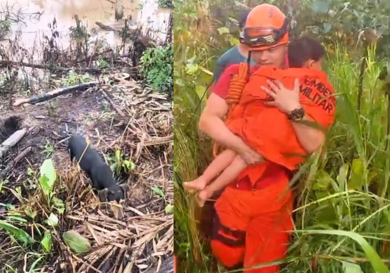 Estevão, de 2 anos, brincava com os cachorros quando se afastou da casa da avó e acabou perdido na mata. Foto: CBMAM
