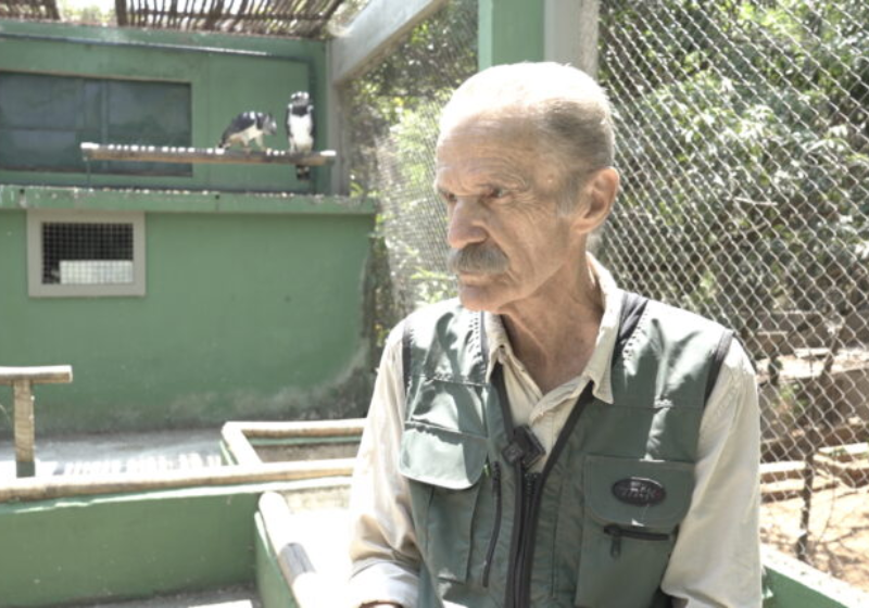 Conheça o idoso brasileiro que há 44 anos salva aves em extinção Roberto Azevedo, de 77 anos, é um idoso brasileiro, do tipo incansável, que salva aves ameaçadas de extinção na região de Contagem, em Minas Gerais. Foto: Projeto Reserva