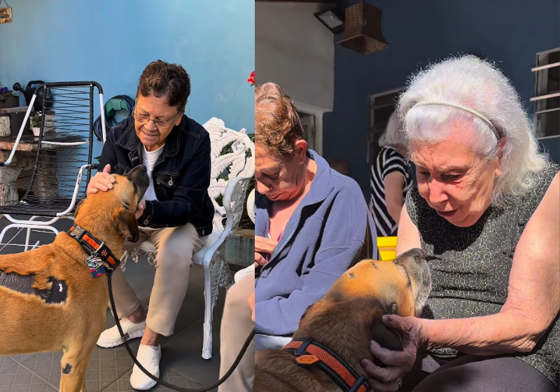 Matuê, o cão caramelo frentista, agora é amigo dos idosos e leva carinho, amor e muitos lambeijos para os vovôs e vovós. Foto: mauteofrentista