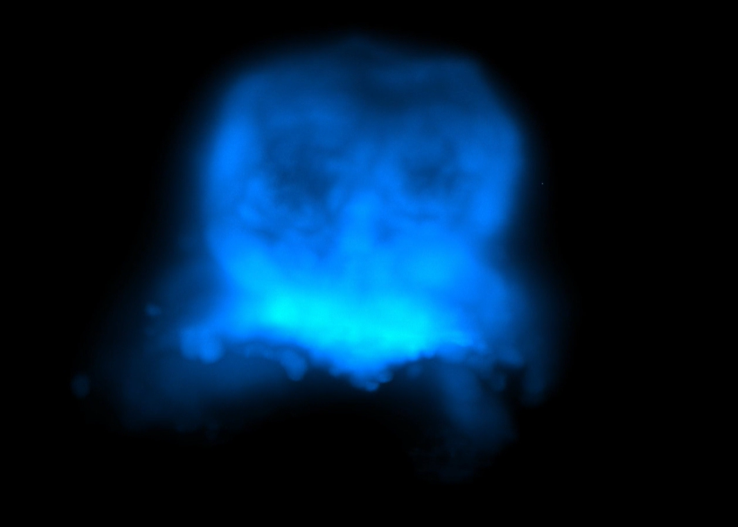 O grupo usou uma técnica 3D combinada com luz. - Foto: UCL