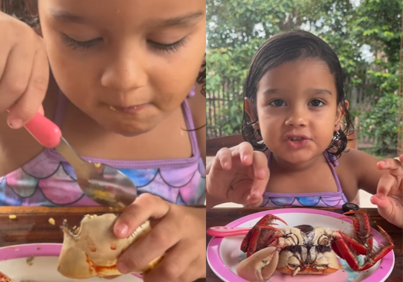 Menina ensina como comer caranguejo com farinha sem desperdiçar nada e vídeo fofo viraliza A menina Maria, do Pará, mostra como comer caranguejo com farinha da melhor forma possível. Vídeo foi visto 6 milhões de vezes. - Foto: @a.mariaeloisa2212/Instagram