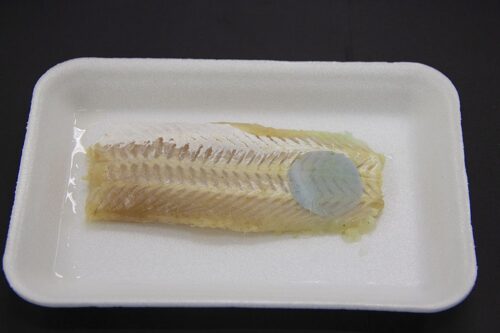 Embalagem inteligente muda de cor para avisar que o peixe estragou — Foto: Divulgação / Embrapa